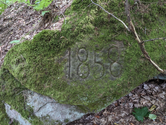 Karlstalschlucht Trippstadt 
23. Juli 2023